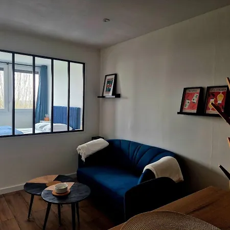 Apartamento Cocon Angevin - Centre - Wi-fi