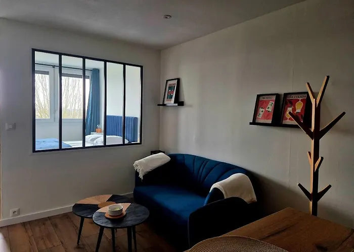 Apartament Cocon Angevin - Centre - Wi-fi