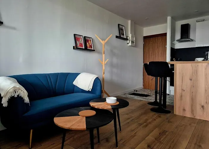 Apartament Cocon Angevin - Centre - Wi-fi Angers